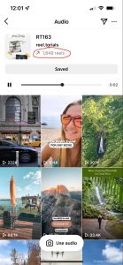 Instagram screenshot of an audio screen | 9 Instagram Reels Ideas for the Pet Business