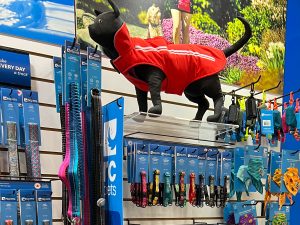 RC Pets Cat Jacket | SuperZoo 2022: Pet Brands to Watch