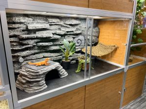 Zen Habitats Original Wood Reptile Enclosure | Learn More About BlogPaws Best Award Winners at SuperZoo 2022