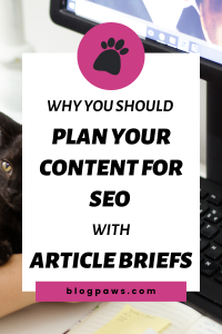 cat laying next to a person typing on a keyboard pin | Why You Should Plan Your Content for SEO with Article Briefs