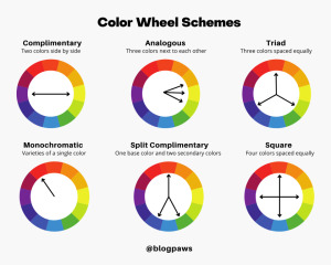 color wheels showcasing color theory | Why Are Brand Colors Important?