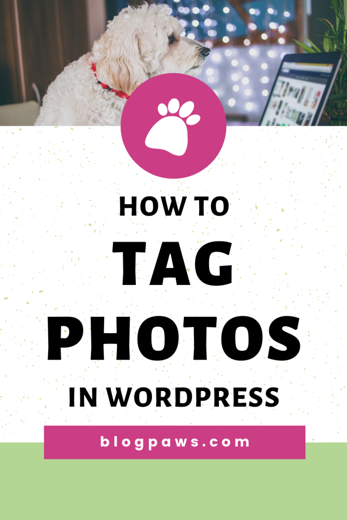 dog looking at pictures on laptop pin | How to Tag Photos in WordPress