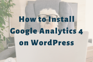 dog sitting in front of a laptop slide | How to Install Google Analytics 4 on WordPress