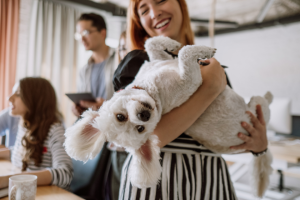 woman holding a dog surrounded by other people | 6 Follow-Up Tips for Networking Events in the Pet Industry