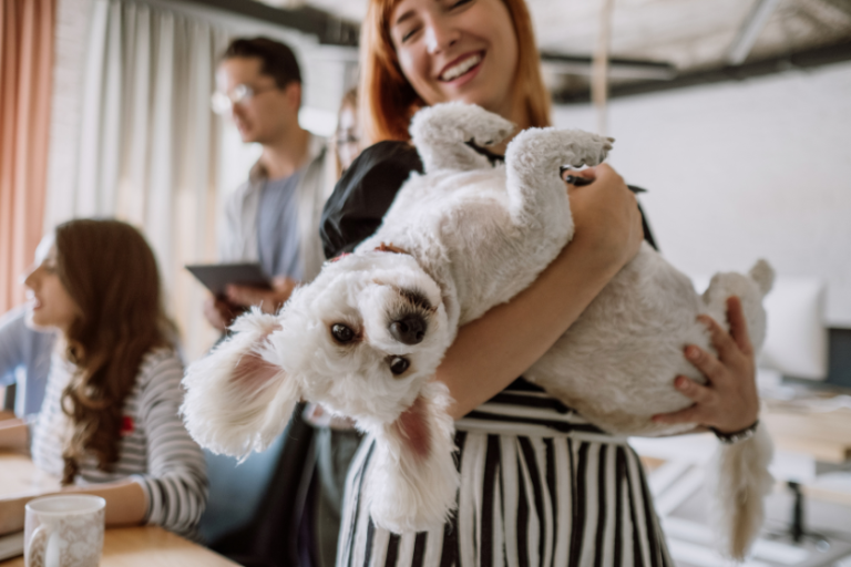 6 Follow-Up Tips for Networking Events in the Pet Industry