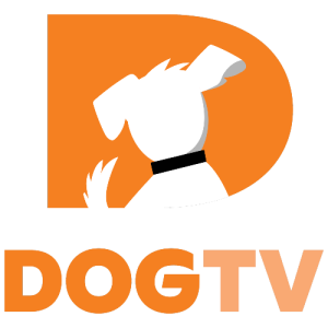 DOGTV logo | Product Promo Livestream: 27 Pet Products for Your Holiday Gift Guide