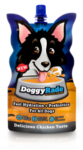 DoggyRade | Product Promo Livestream: 27 Pet Products for Your Holiday Gift Guide