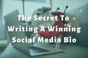 The Secret To Writing A Winning Social Media Bio