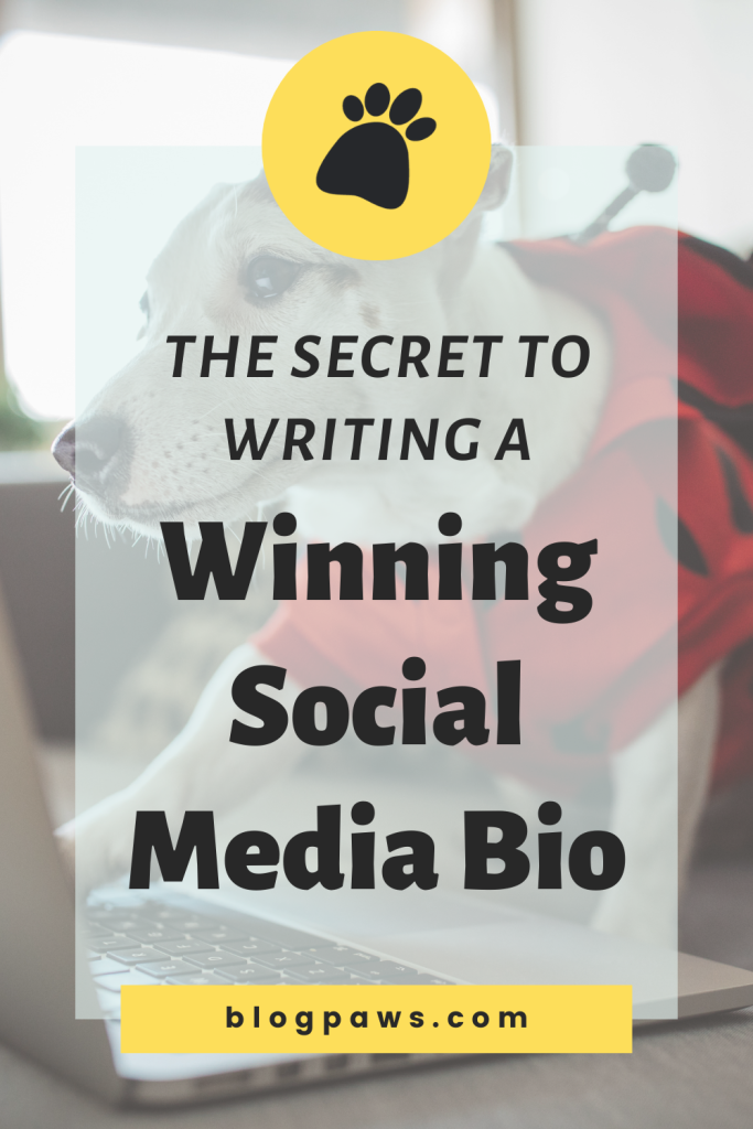 The Secret To Writing A Winning Social Media Bio