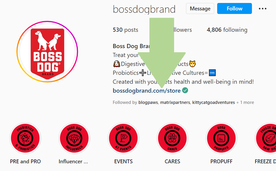 bossdogbrand screenshot | The Secret To Writing A Winning Social Media Bio