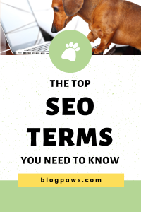 dachshund at a laptop pin | The Top SEO Terms You Need to Know