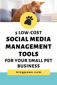 dog holding a pencil typing on a laptop pin | 5 Low-Cost Social Media Management Tools For Your Small Pet Business