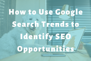 dog looking at charts on a laptop slide | How to Use Google Search Trends to Identify SEO Opportunities