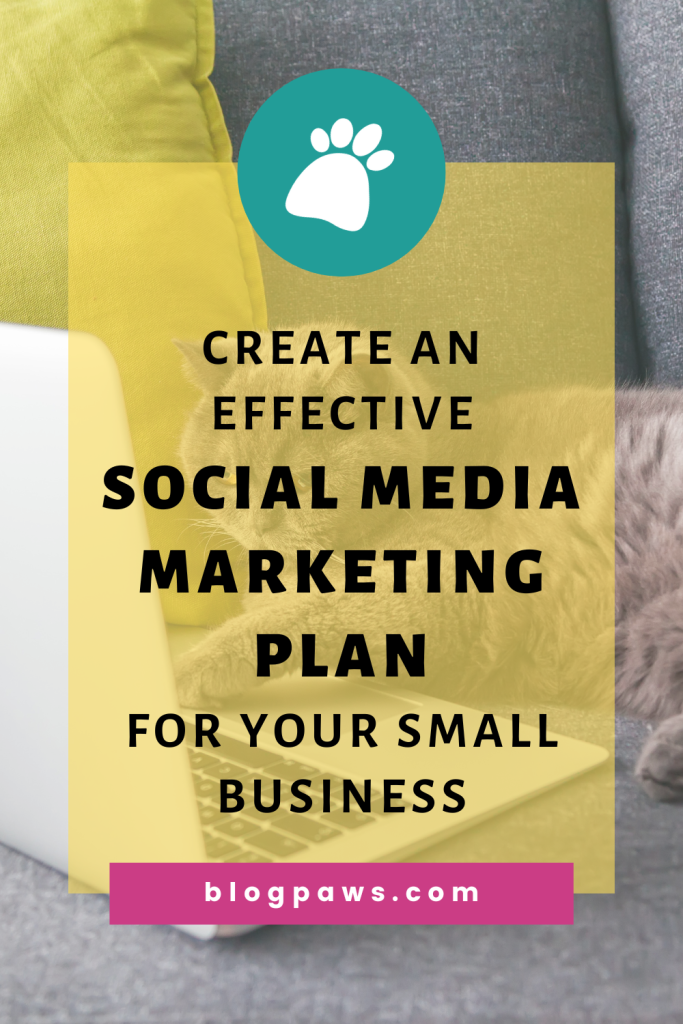grey cat laying in front of laptop pin | Create An Effective Social Media Marketing Plan For Your Small Business