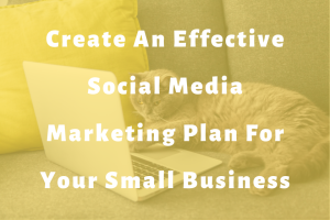 grey cat laying in front of laptop slide | Create An Effective Social Media Marketing Plan For Your Small Business