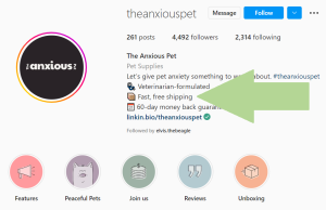 theanxiouspet screenshot | The Secret To Writing A Winning Social Media Bio