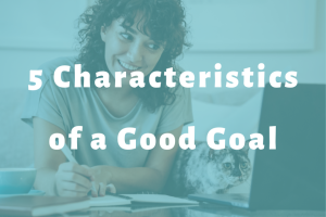 woman and a cat looking at a laptop slide | 5 Characteristics of a Good Goal
