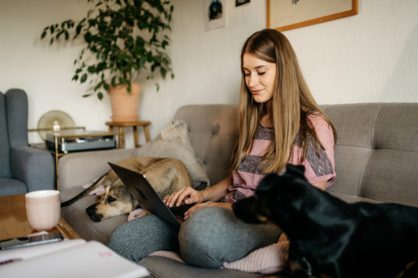 woman working on laptop beside dogs | How to Plan for Long-Term Success as a Pet Blogger