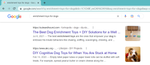 Screenshot Google Organic Search | How to Research SEO on Google Search