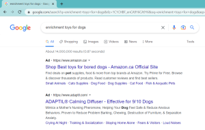 Screenshot Google Paid Ads | How to Research SEO on Google Search