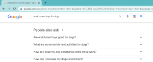 Screenshot Google People Also Ask | How to Research SEO on Google Search