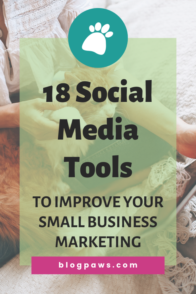 woman and cat looking at a tablet pin | 18 Social Media Tools to Improve Your Small Business Marketing
