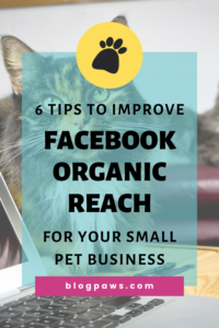 6 Tips to Improve Facebook Organic Reach for Your Small Pet Business