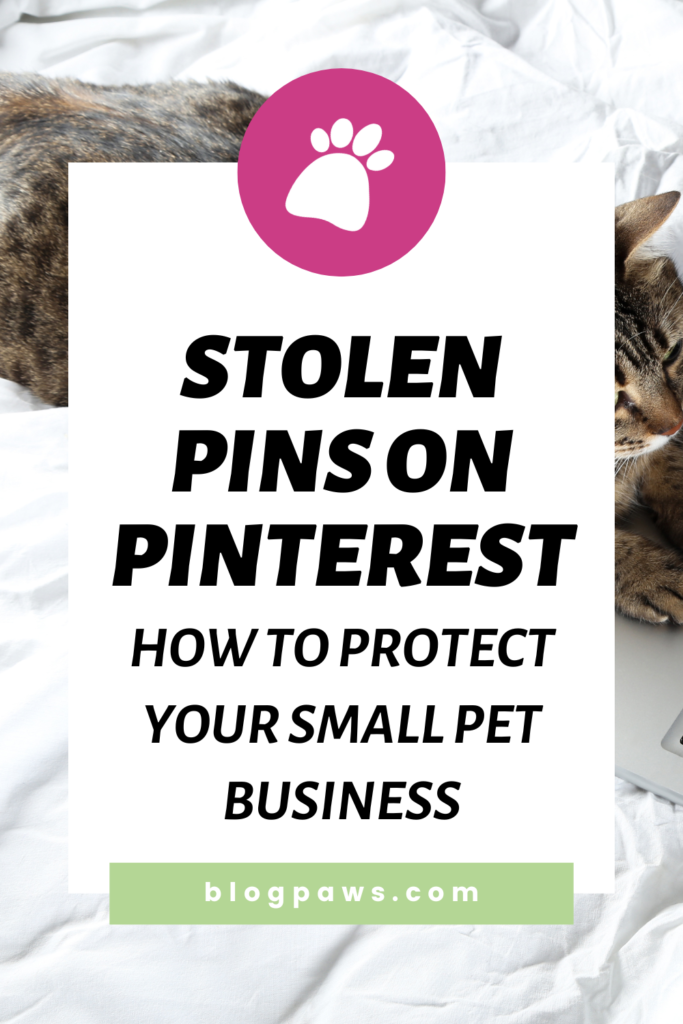 Stolen Pins On Pinterest: How To Protect Your Small Pet Business