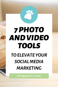 cat lying on couch with smartphone pin | 7 Photo and Video Tools to Elevate Your Social Media Marketing