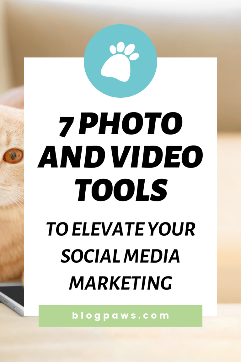 7 Photo and Video Tools to Elevate Your Social Media Marketing - BlogPaws