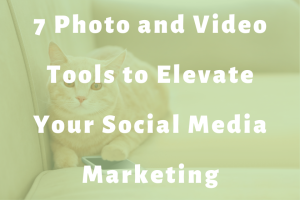 cat lying on couch with smartphone slide | 7 Photo and Video Tools to Elevate Your Social Media Marketing