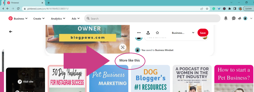 Pinterest screenshot more like this | Stolen Pins On Pinterest: How To Protect Your Small Pet Business