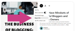 Pinterest screenshot report | Stolen Pins On Pinterest: How To Protect Your Small Pet Business