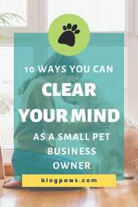 woman kneeling on the floor in front of a dog pin | How to Clear Your Mind as a Small Pet Business Owner