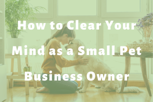 woman kneeling on the floor in front of a dog slide | How to Clear Your Mind as a Small Pet Business Owner