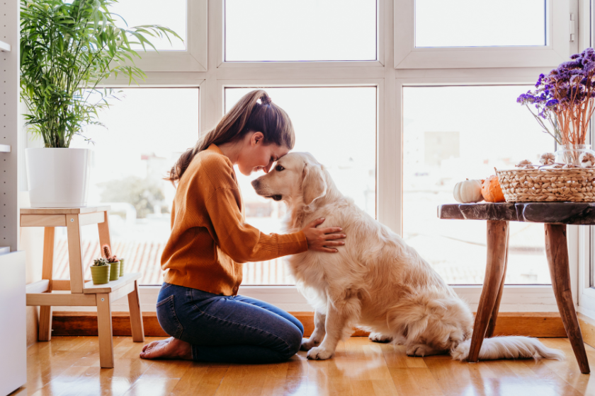 woman kneeling on the floor in front of a dog | How to Clear Your Mind as a Small Pet Business Owner