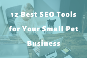 woman working at laptop on desk next to a dog slide | 12 Best SEO Tools for Your Small Pet Business