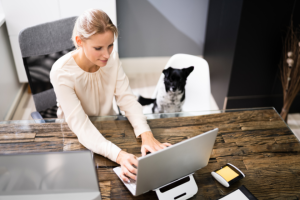 woman working on laptop next to a dog | 12 Best SEO Tools for Your Small Pet Business
