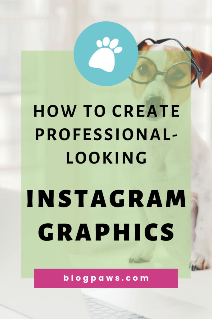 dog standing in front of computer wearing glasses pin | How to Create Professional-Looking Instagram Graphics