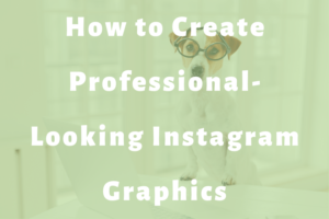 dog standing in front of computer wearing glasses slide green | How to Create Professional-Looking Instagram Graphics