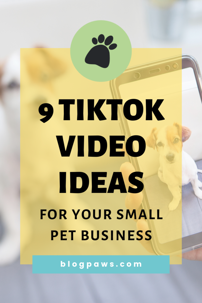 person taking a photo of sitting dog on phone pin | 9 TikTok Ideas for Small Businesses