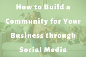 woman sitting on couch with dogs slide | How to Build a Community for Your Business through Social Media
