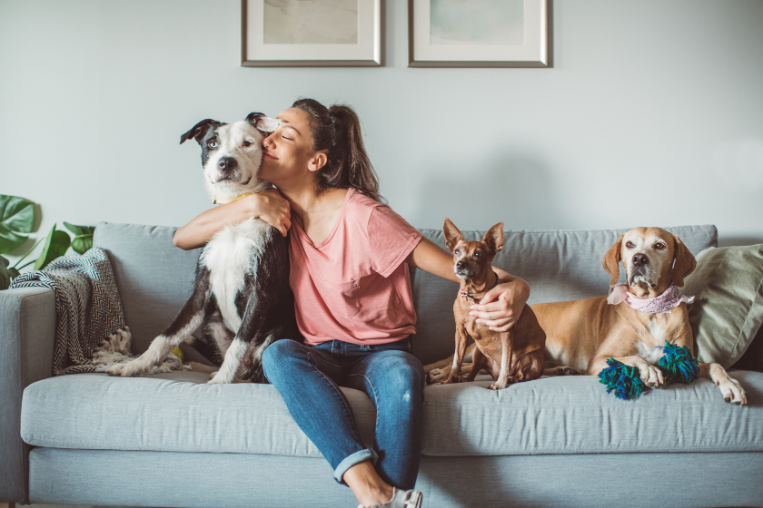 woman sitting on couch with dogs | How to Build a Community for Your Business through Social Media