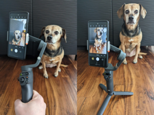 Photo collage of two images of the DJI Osmo Mobile 6 Smartphone Gimbal in use to take photo of a dog