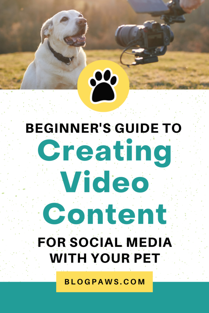 dog being filmed outside pin | Beginner's Guide to Creating Video Content for Social Media with Your Pet