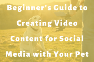 dog being filmed outside slide | Beginner's Guide to Creating Video Content for Social Media with Your Pet