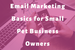 person using email on a cellphone by a laptop slide | Email Marketing Basics for Small Pet Business Owners