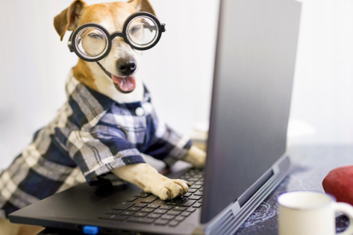 BlogPaws - Shaping social media excellence for pet influencers