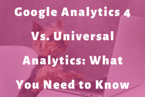 Yorkie dog working on a laptop slide | Google Analytics 4 Vs. Universal Analytics: What You Need to Know
