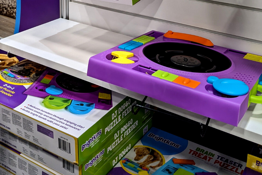 https://blogpaws.com/wp-content/uploads/2023/09/dj-themed-dog-puzzle-feeder.png